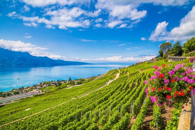 Objek Wisata Montreux: Jelajah Pesona Alpen dan Danau Geneva