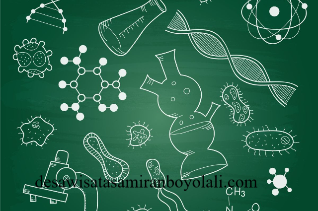 Strategi Belajar Biologi dengan Visualisasi